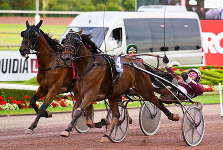 Actualités Hippiques